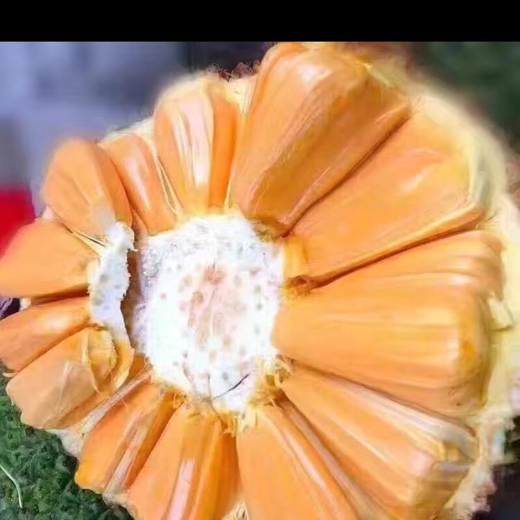 开心