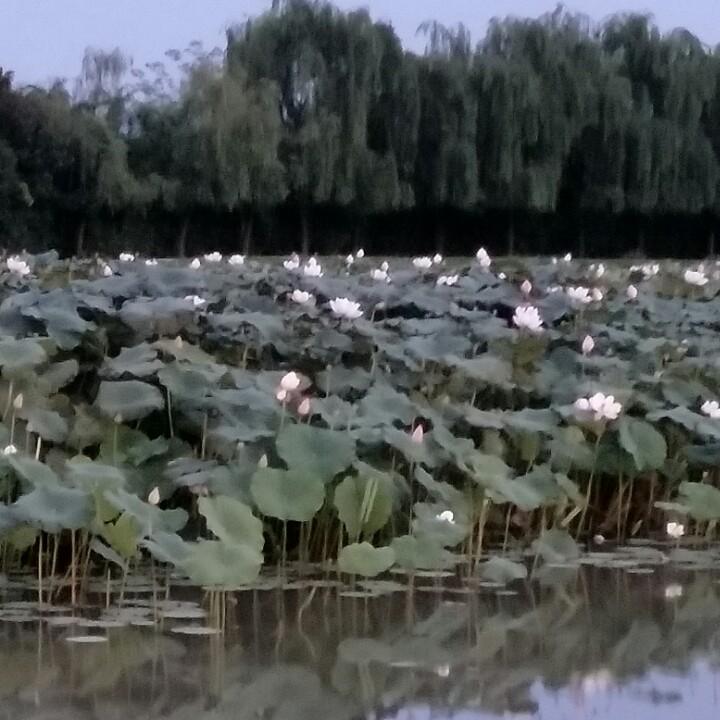多啦a梦