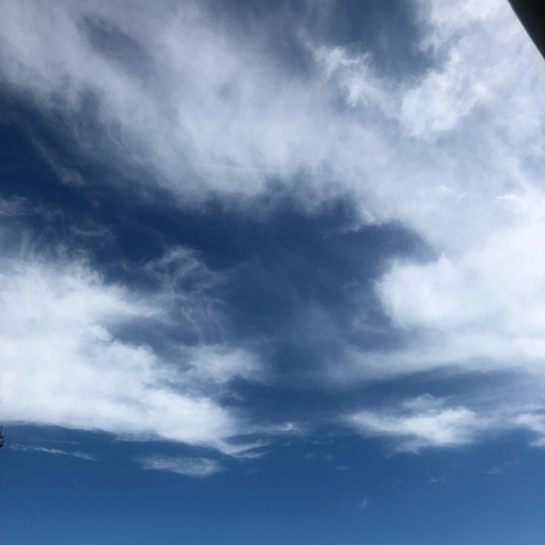 阳光下的小青年
