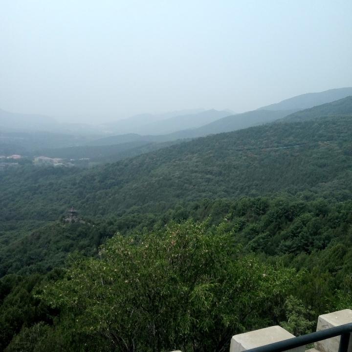 枫月