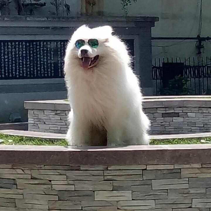 深知你的梦707