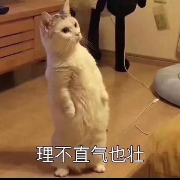 小都