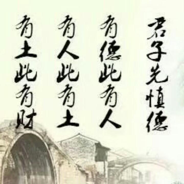 《草菇收购》