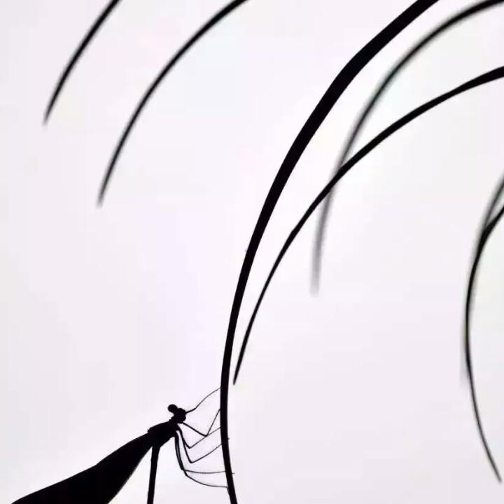 🇨🇳微诗频（百度：桐城江南风）