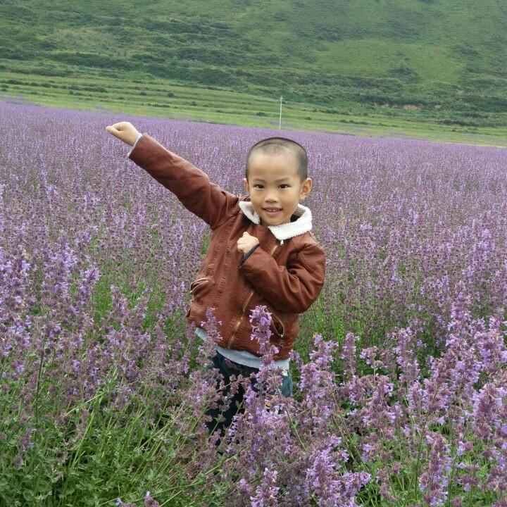 喜之郎
