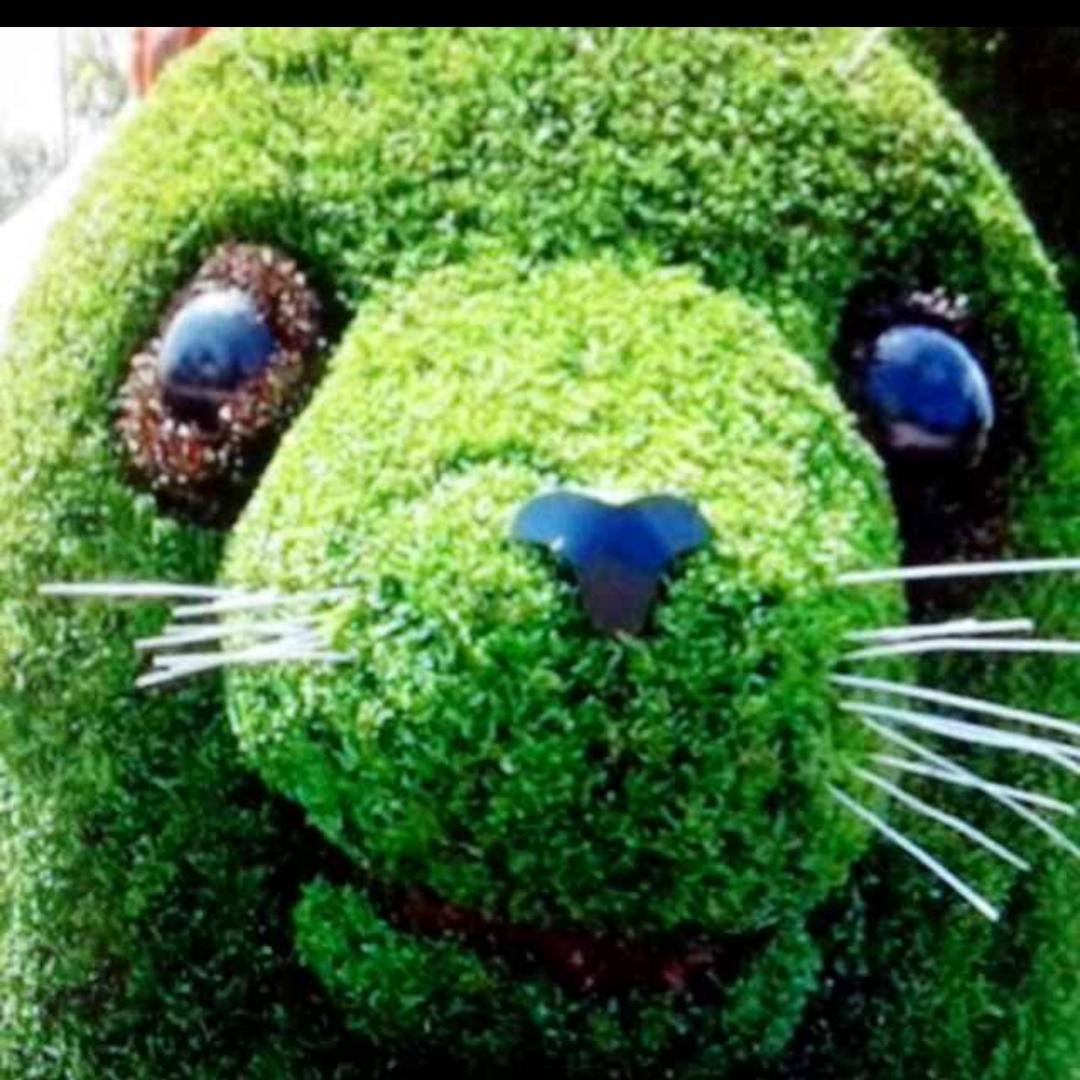 @福（商品在厨窗）你开心我快乐