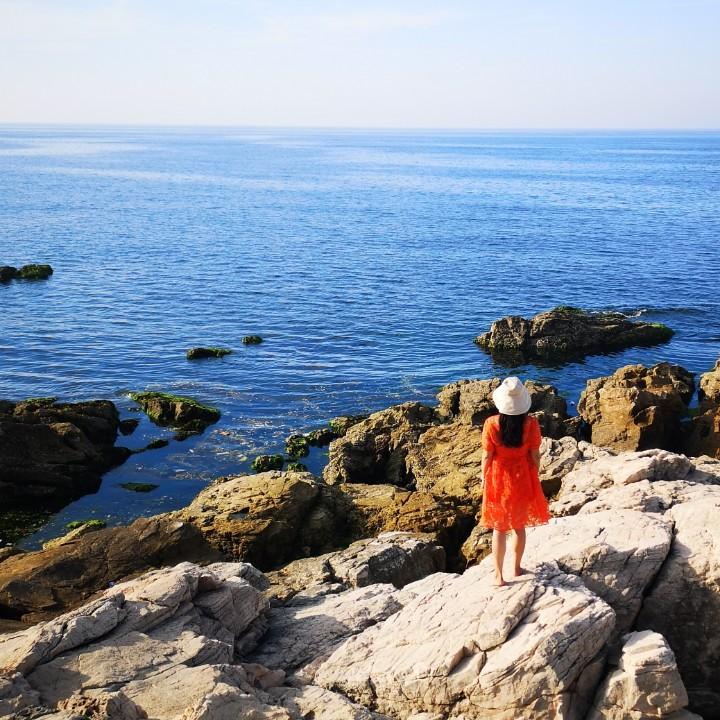 岂有此李