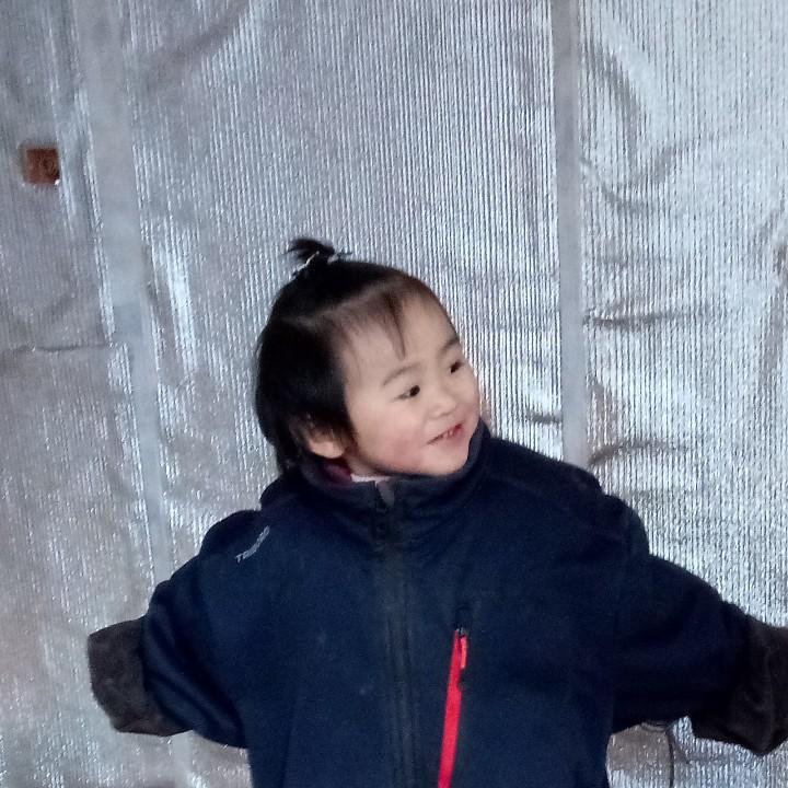 韩的寒