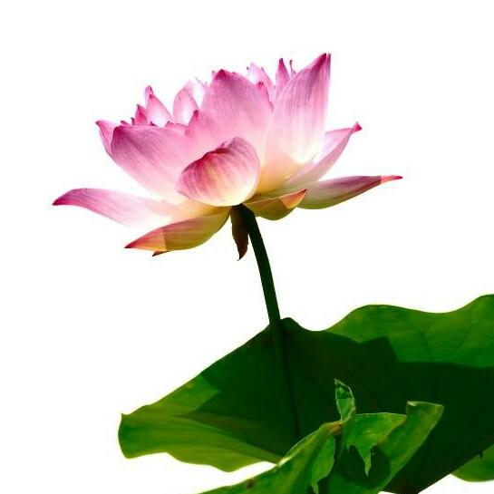 往事随风¹⁹¹⁵༗