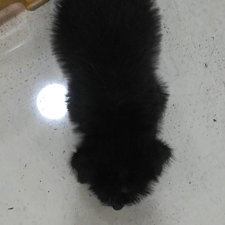 凝结速写冯柏文