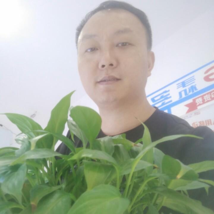 机哥