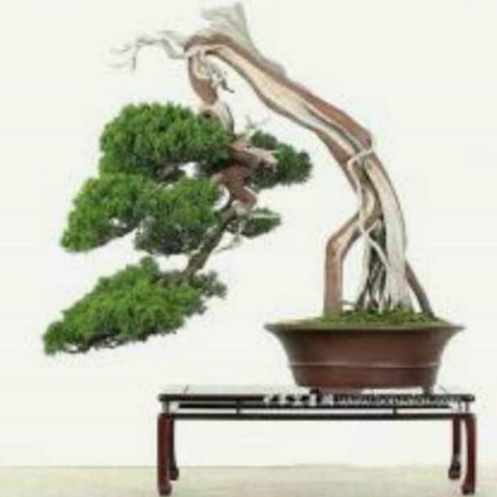 熙园