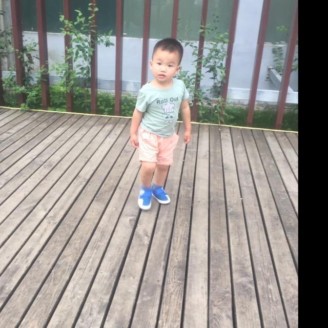 昊昊、俊俊