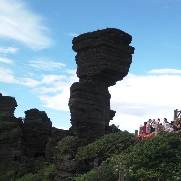 劉掌門