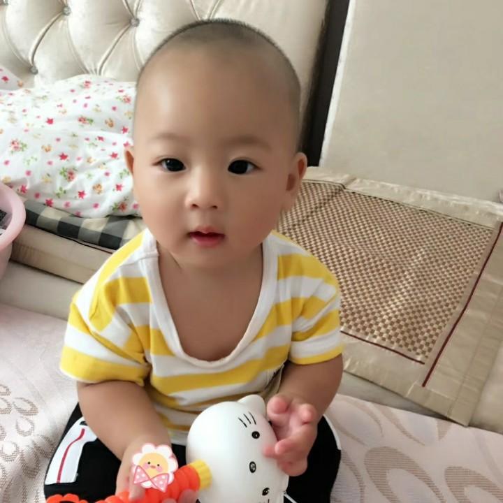 毛毛虫