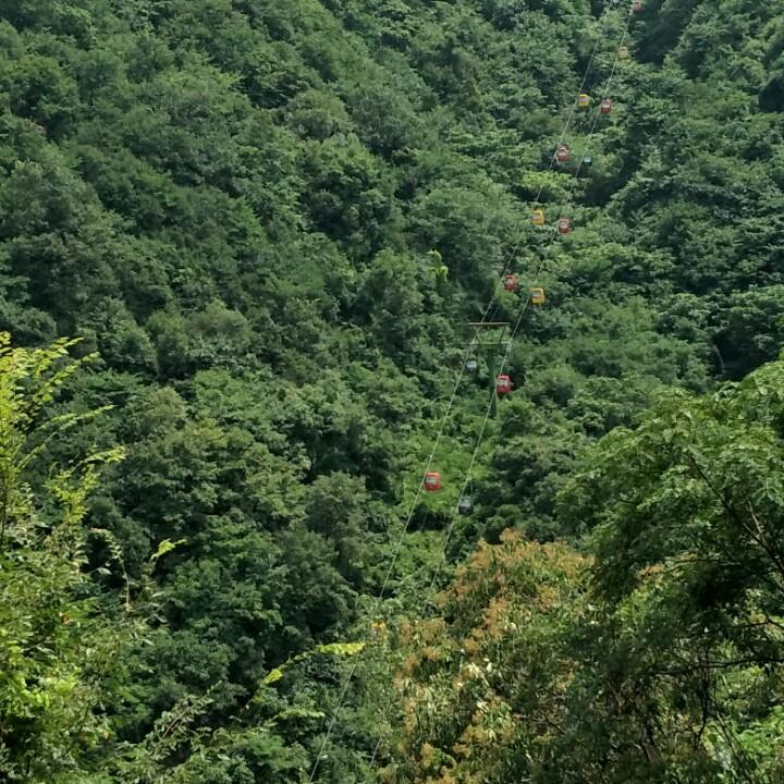 好运来