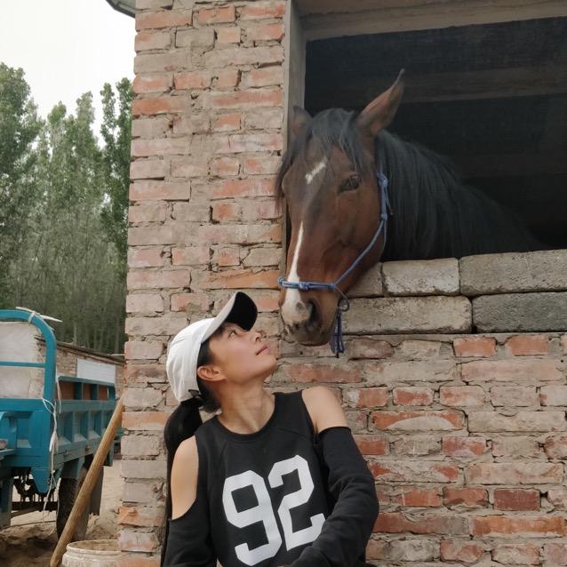 琴棋书画烟酒茶