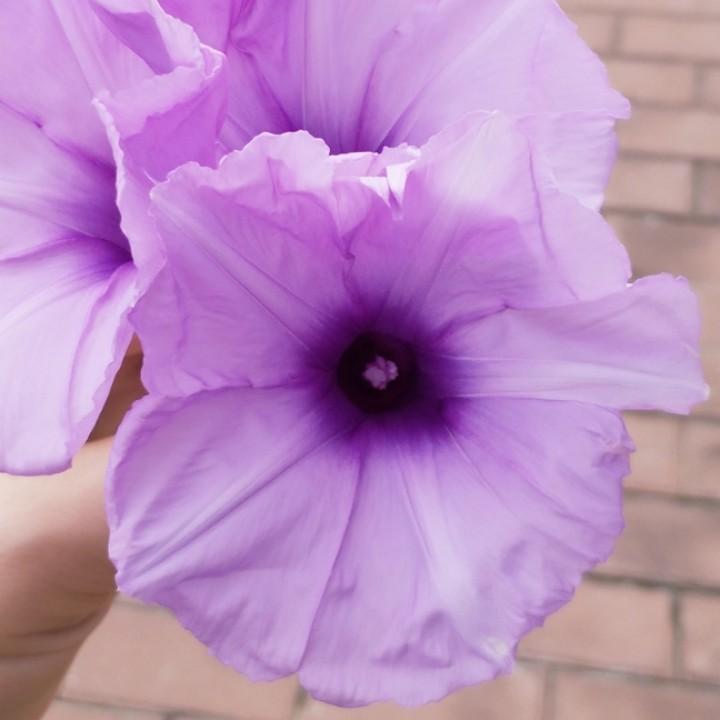 善待自己