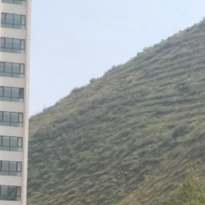 明天会，明天会更好