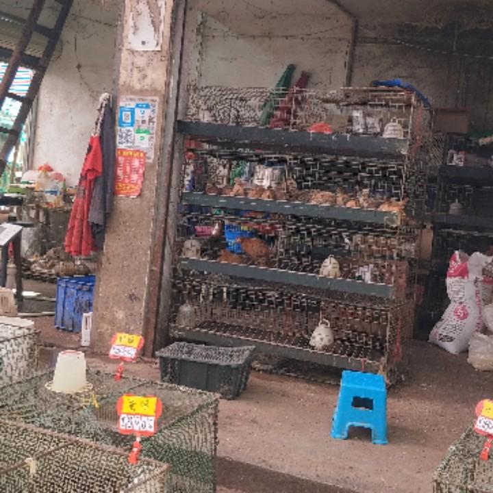 吴忠亮