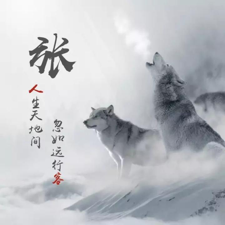 抖一抖