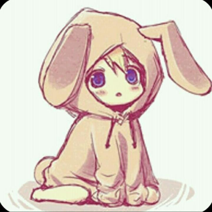 摘星星🌟的熊🐻