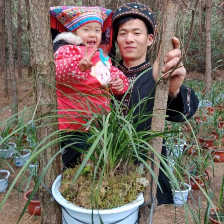 @蒋氏兰花寒兰种植园