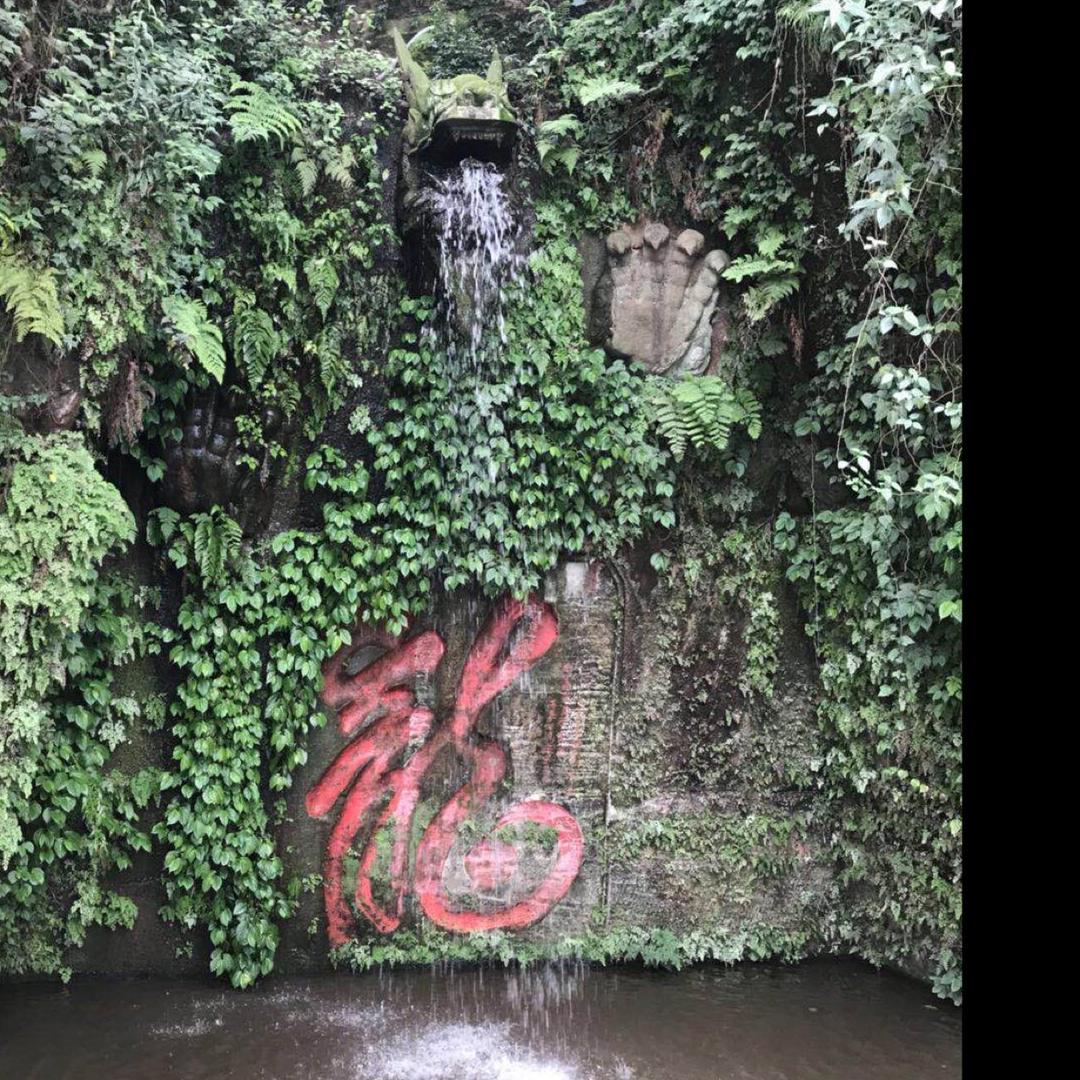 育才西路过南关