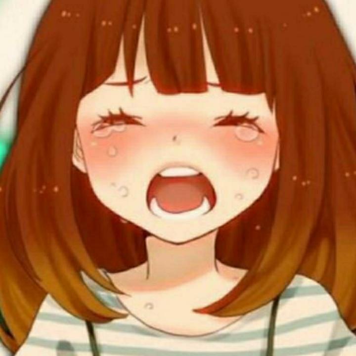 狡猾狸猫