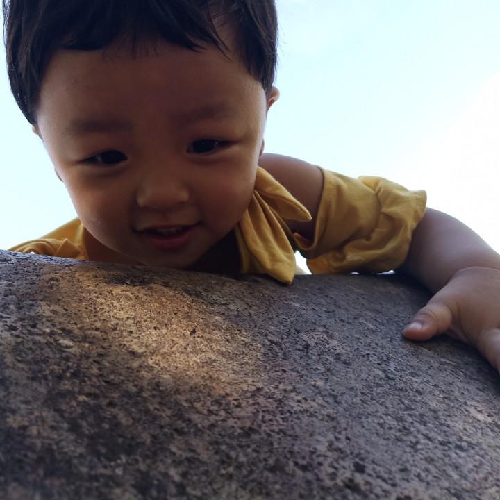 萱宝