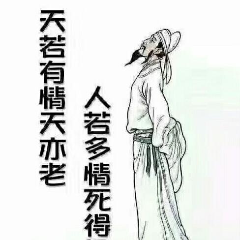 杨sida