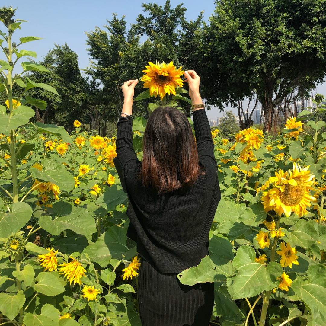 姐就是女王