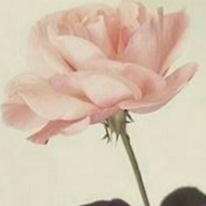 一