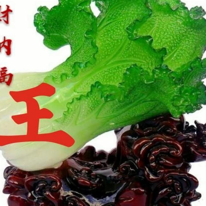 相信明天会更好