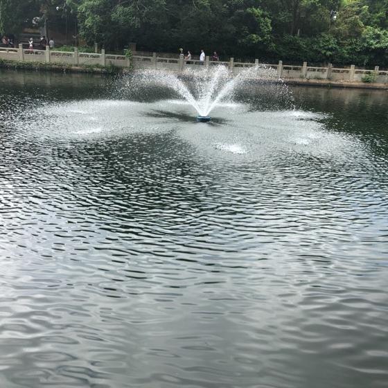 独