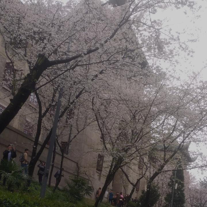 叮叮当当