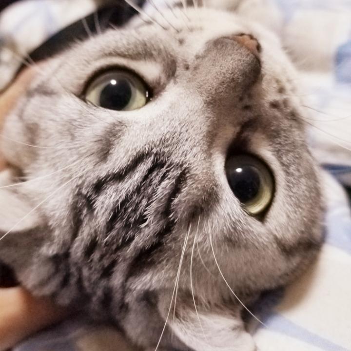 _