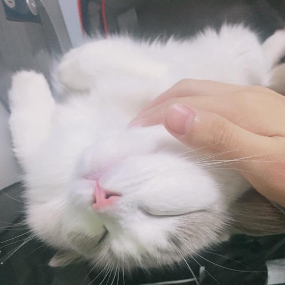 张双鱼