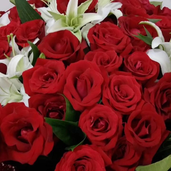 余生请多指教1314