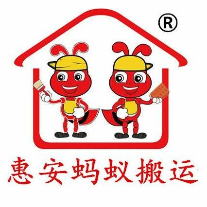 惠安蚂蚁搬运