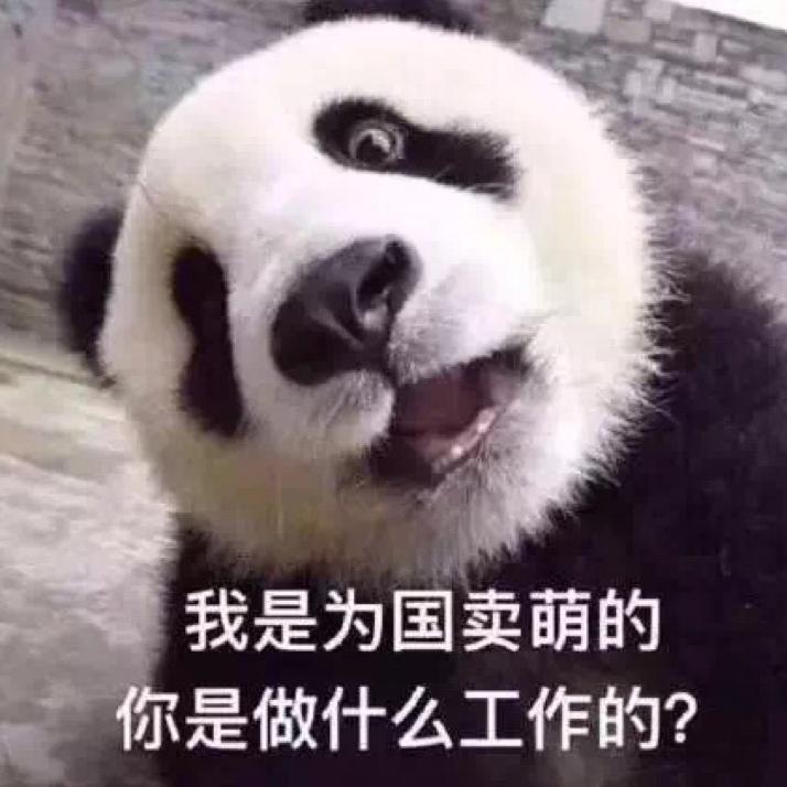 西瓜芒果哈密瓜