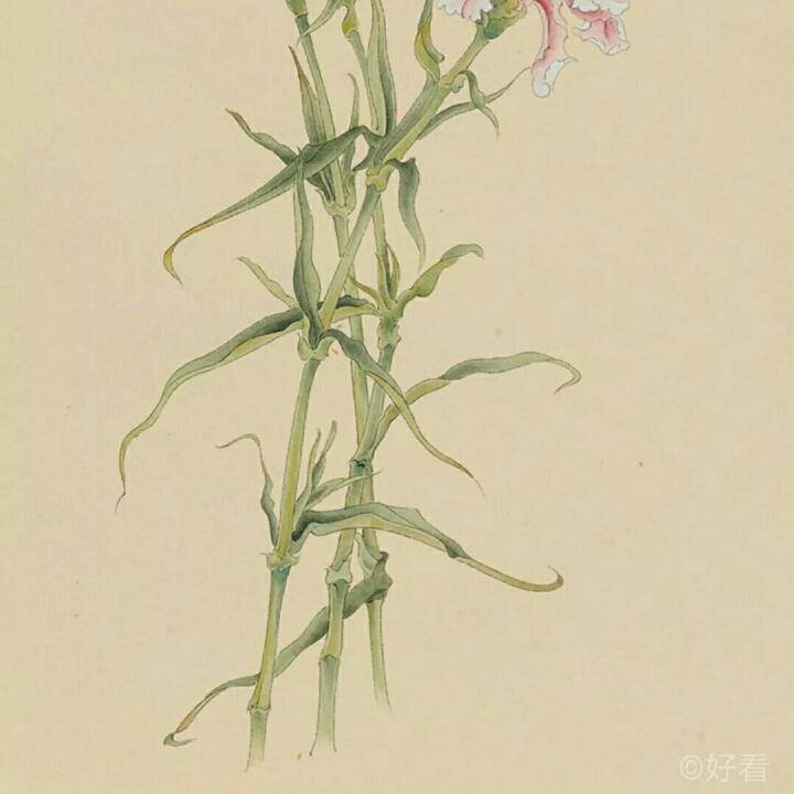 绿洲0403