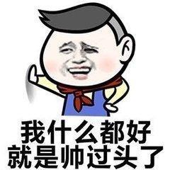 掩饰无赖