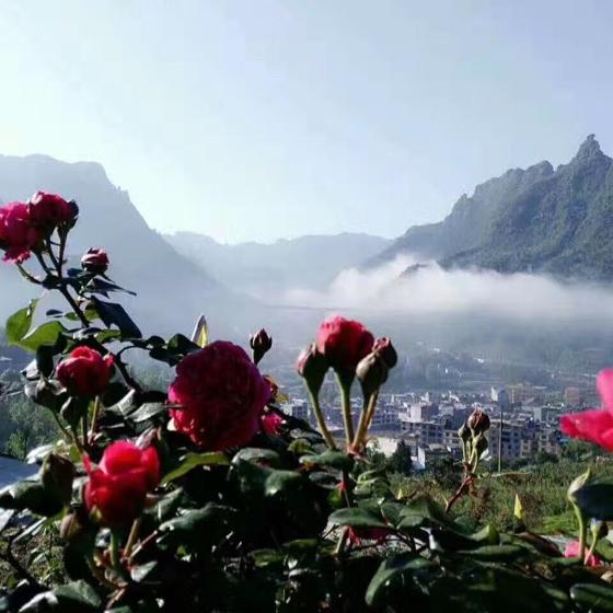 暖阳下ら浅浅笑