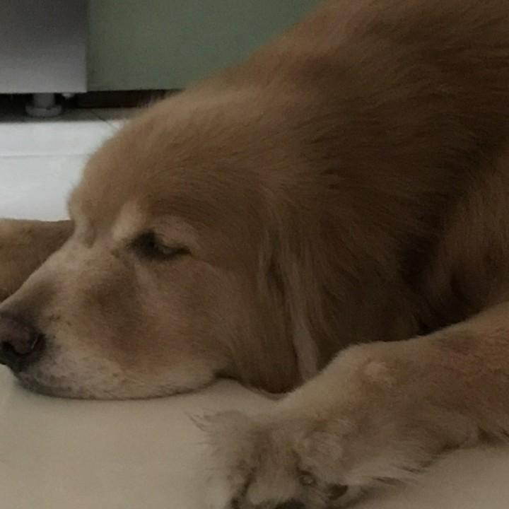 非凡若澜