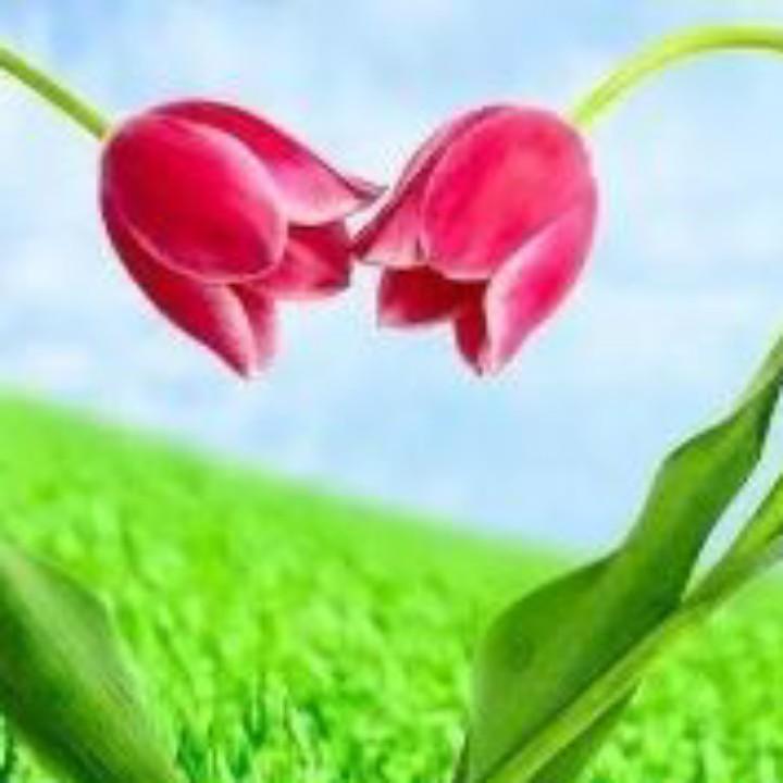 ❤️ 永远 ❤️