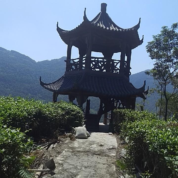 崔登顺
