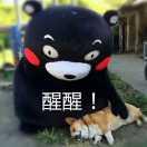 不在服务屈😎