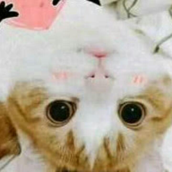 手机🀄️🀄️🀄️可拉