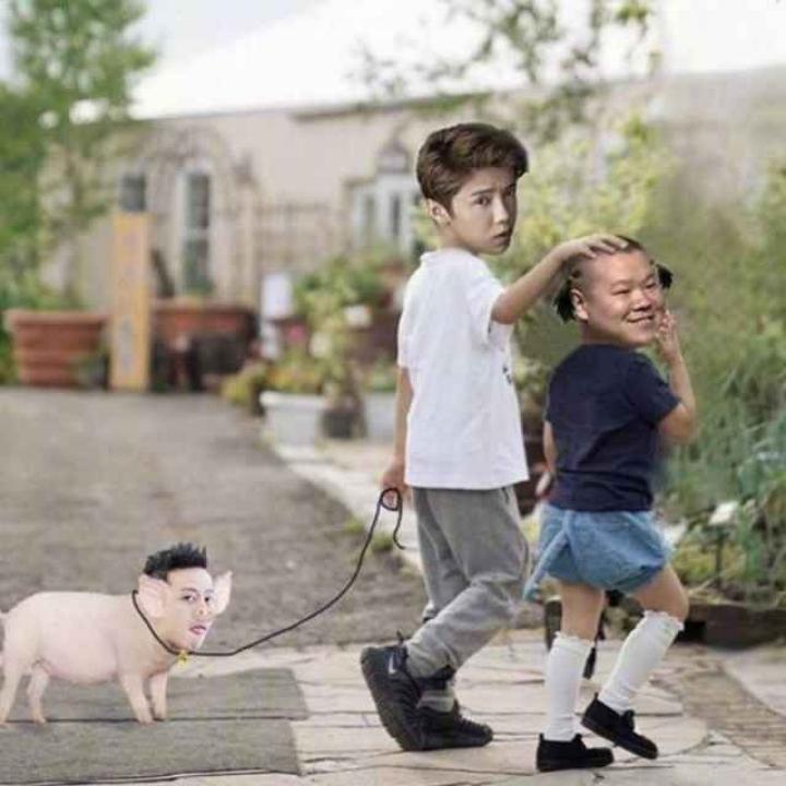 特朗猪啊